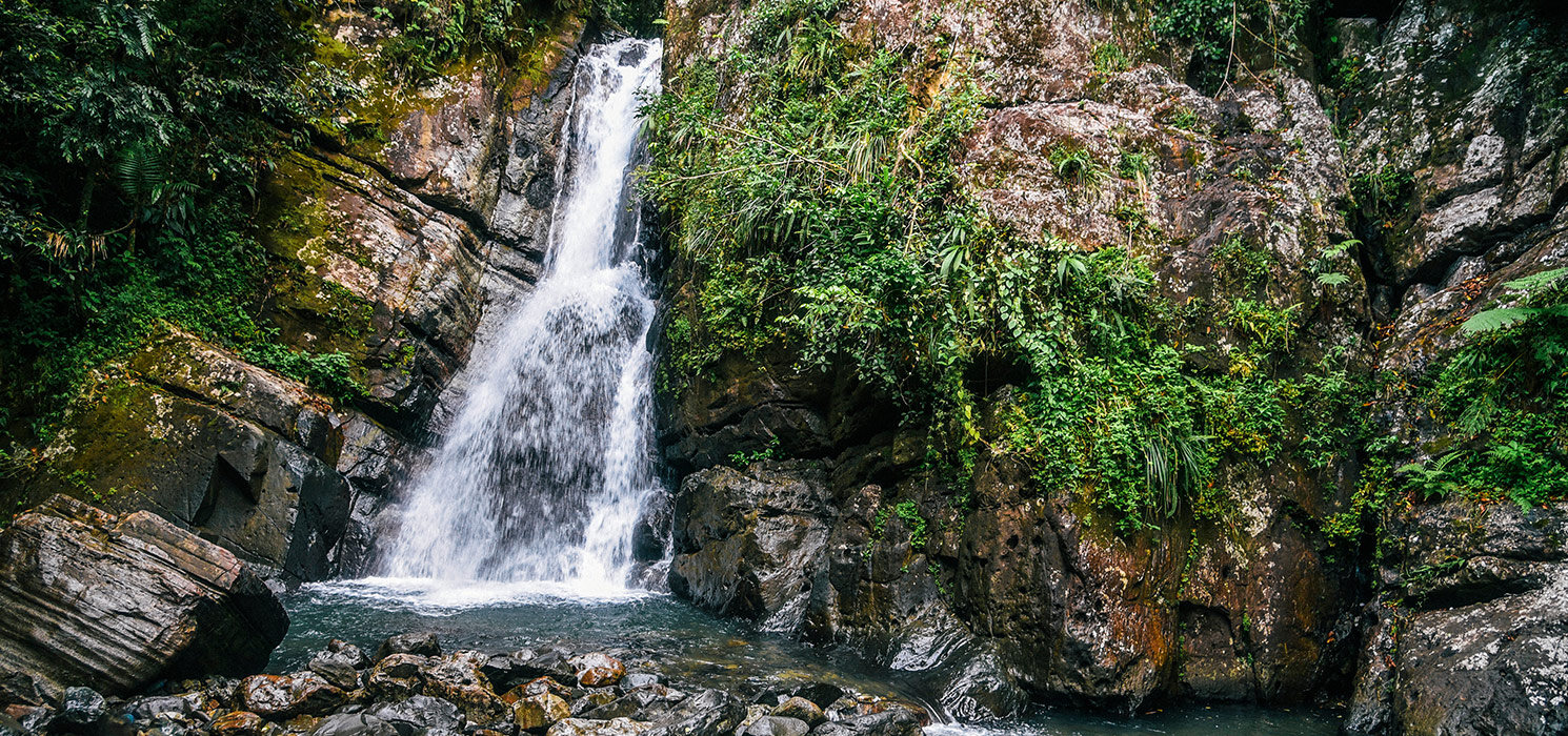 La Mina Falls in El Yunque National Forest in Puerto Rico