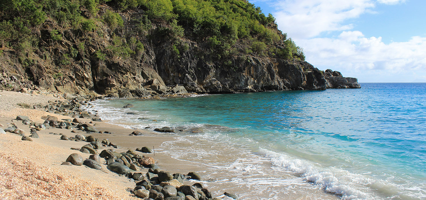 st. Barts island, Shell beach in caribbean sea