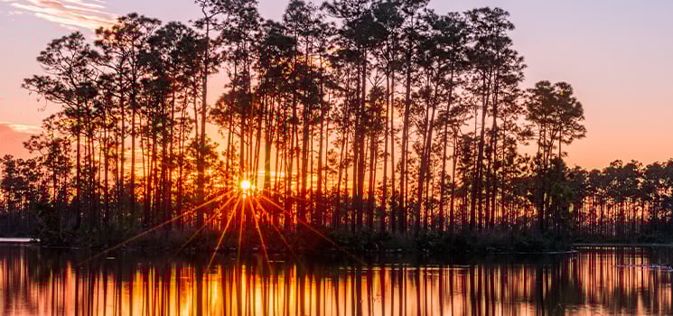 Sunset in the everglades of Florida