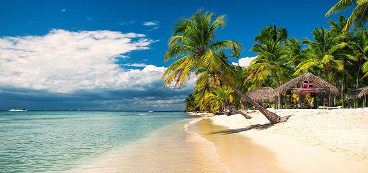 Tropical beach on Saona Island Dominican Republic