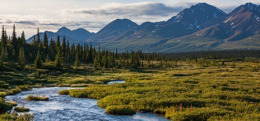 Scenic Alaskan landscape with stream in the forefront and mountains in the background