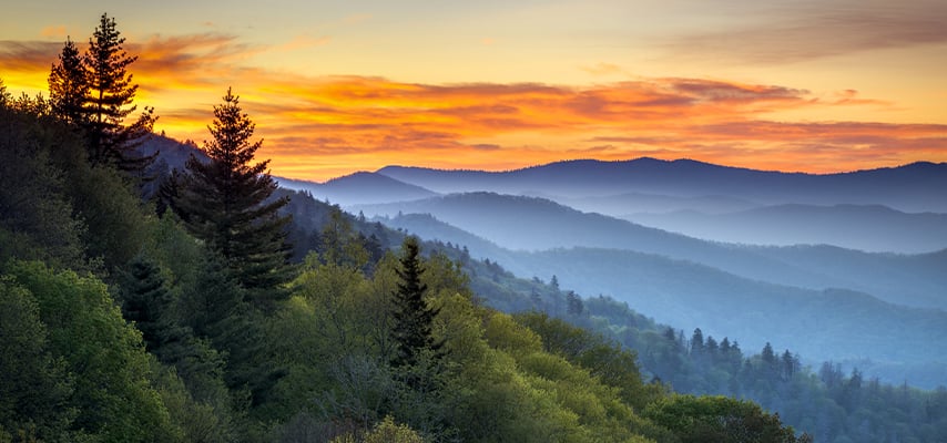 Layered misty mountains at sunrise with evergreen trees in foreground