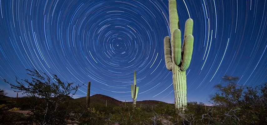 Saguaro Cactus Startrails Nightsky landscape