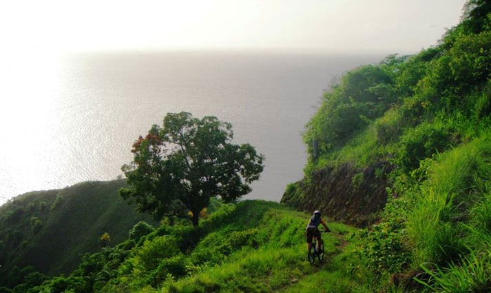 Go-Biking-Tobago.jpg