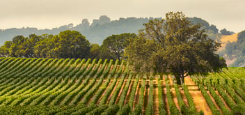 Sonoma, California