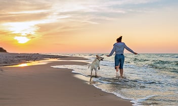Happy woman on the beach with a dog
