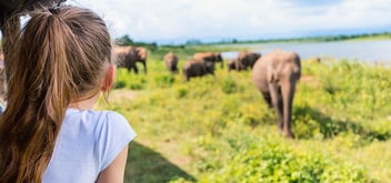 Inteletravel-Blog-5-Musts-on-Your-Trip-to-Africa