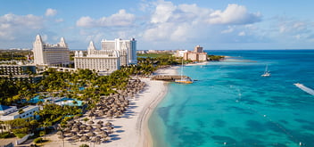 white long sandy beach with palm trees in Aruba