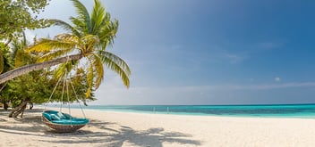 Tropical beach panorama with beach swing