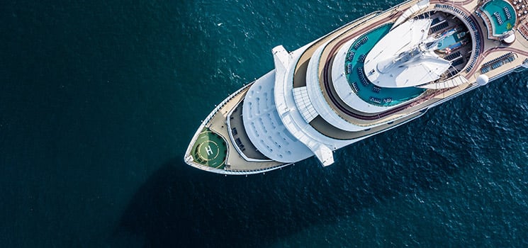 beautiful large cruise ship at sea
