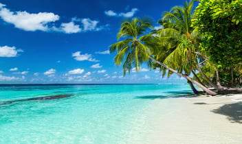 Island-Adventures.jpg