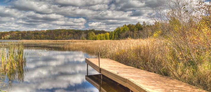 10 Most Dog-Friendly Vacation Spots in the U.S.