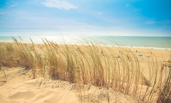 Say-Goodbye-To-Summer.jpg