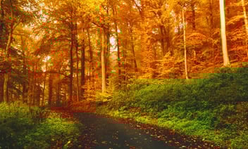Visit-In-The-Fall.jpg