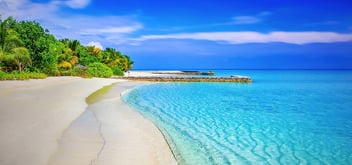 tropical beach on a sunny day