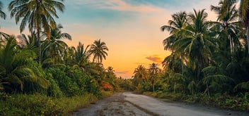 View of sunset from Caribbean Beach