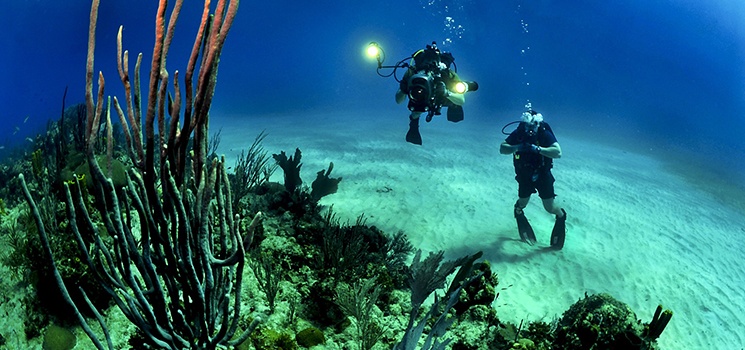 Inteletravel-Blog-Curacao-Divers