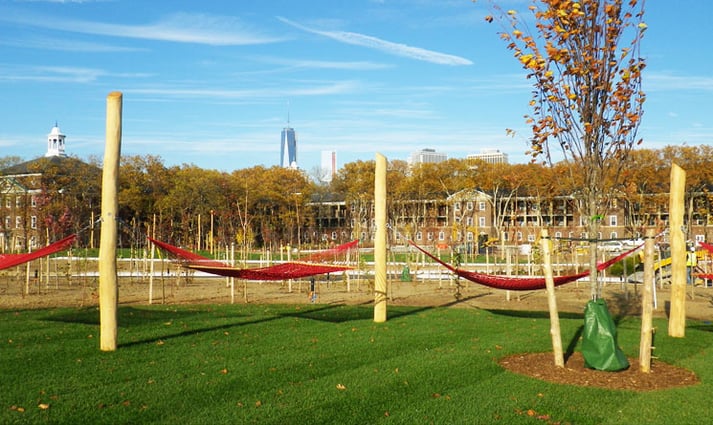 NYC-Hammock-Grove.jpg