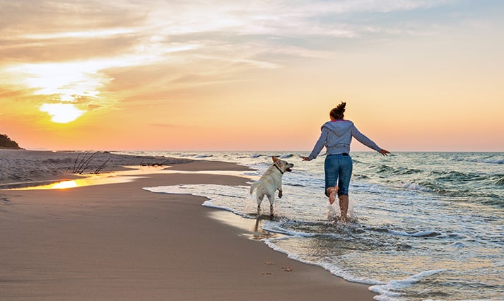 Article Image: Dog-Friendly Ideas for Your California Vacation