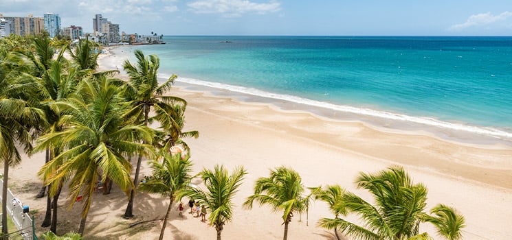 Puerto Rico beach with palm trees